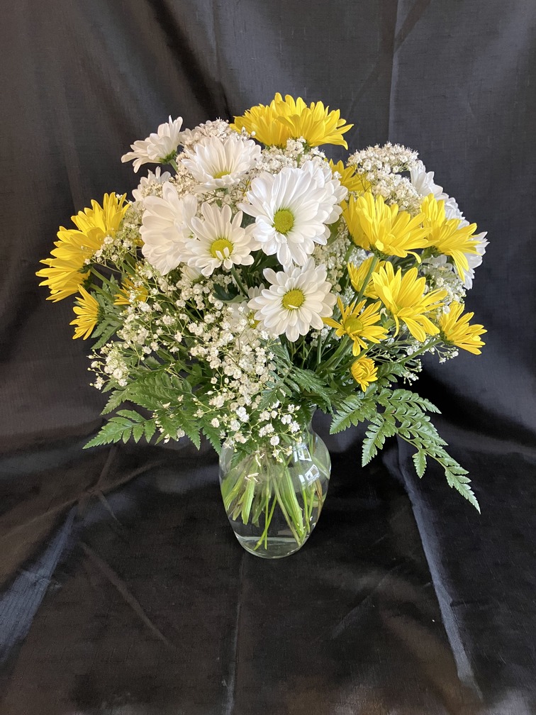 DAISIES DON'T TELL (image for) DAISIES DON'T TELL