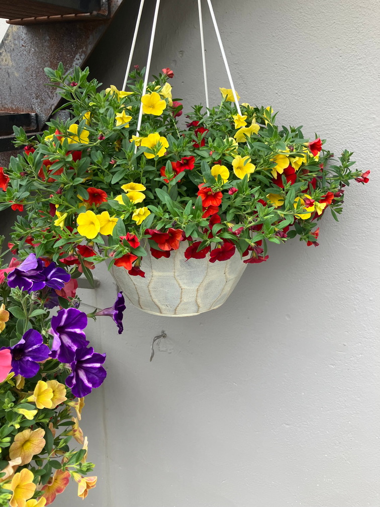 Mixed Garden Basket (image for) Mixed Garden Basket